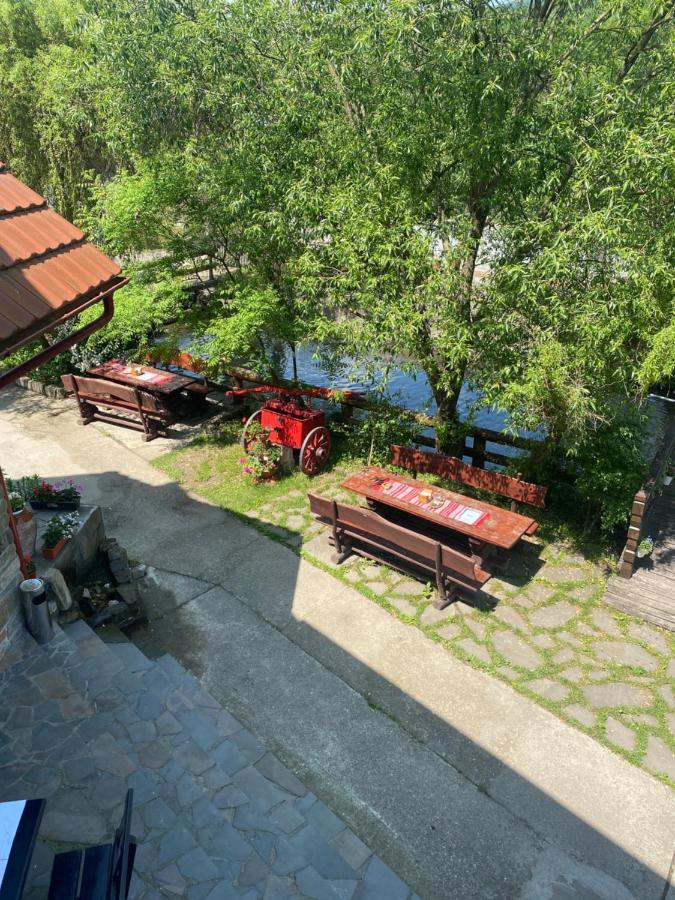 Pensiune Pastravarie La Pintea Haiducu Desesti Экстерьер фото