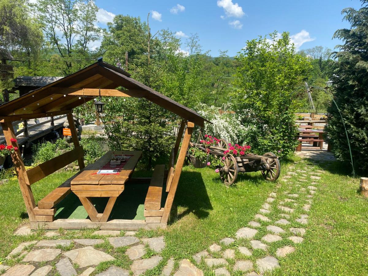 Pensiune Pastravarie La Pintea Haiducu Desesti Экстерьер фото