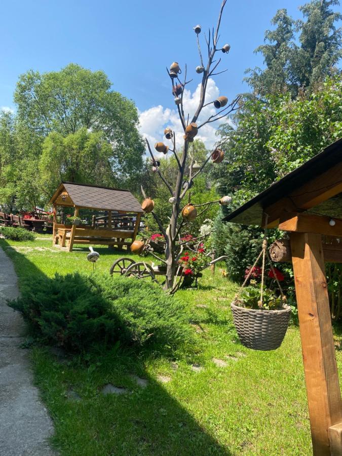 Pensiune Pastravarie La Pintea Haiducu Desesti Экстерьер фото