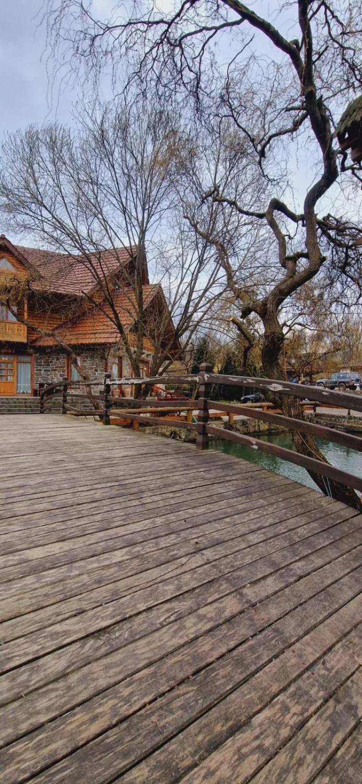 Pensiune Pastravarie La Pintea Haiducu Desesti Экстерьер фото