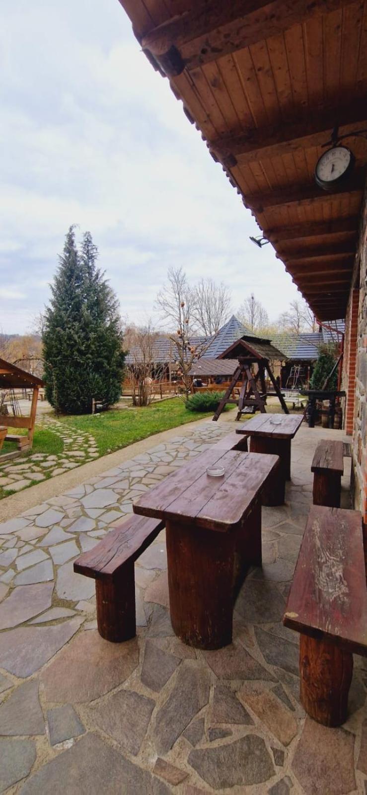 Pensiune Pastravarie La Pintea Haiducu Desesti Экстерьер фото